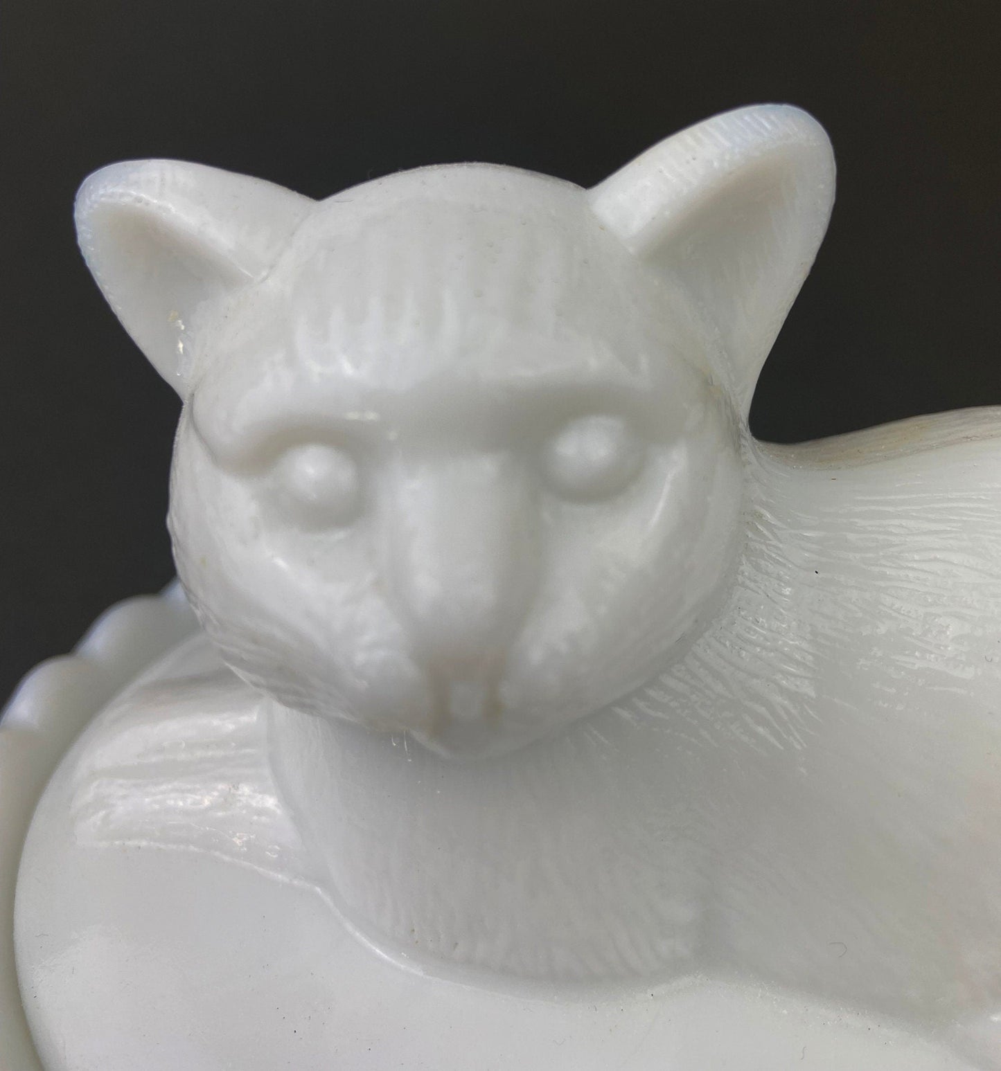 Vintage Westmoreland Milk Glass Cat Covered Dish. Trinket Condiment Serving Dish. Bath Display. Reticulated Lacey Edge. Gift for Cat Lover. - Tampa Home & Garden Store