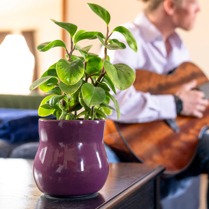 Ceramic plant pot violet purple with rubber liner, indoor pot by Happy Roots Plant Pots on Tampa Home & Garden Store