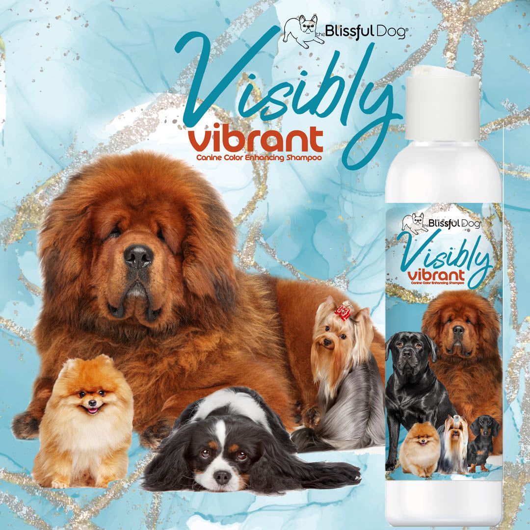 Visibly Vibrant Pet Shampoo - Tampa Home & Garden Store