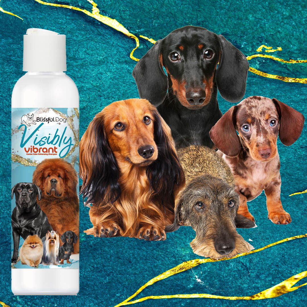 Visibly Vibrant Pet Shampoo - Tampa Home & Garden Store