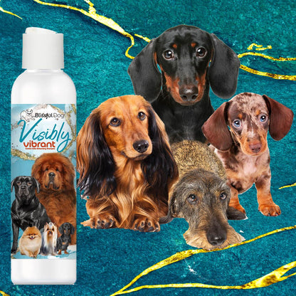 Visibly Vibrant Pet Shampoo - Tampa Home & Garden Store