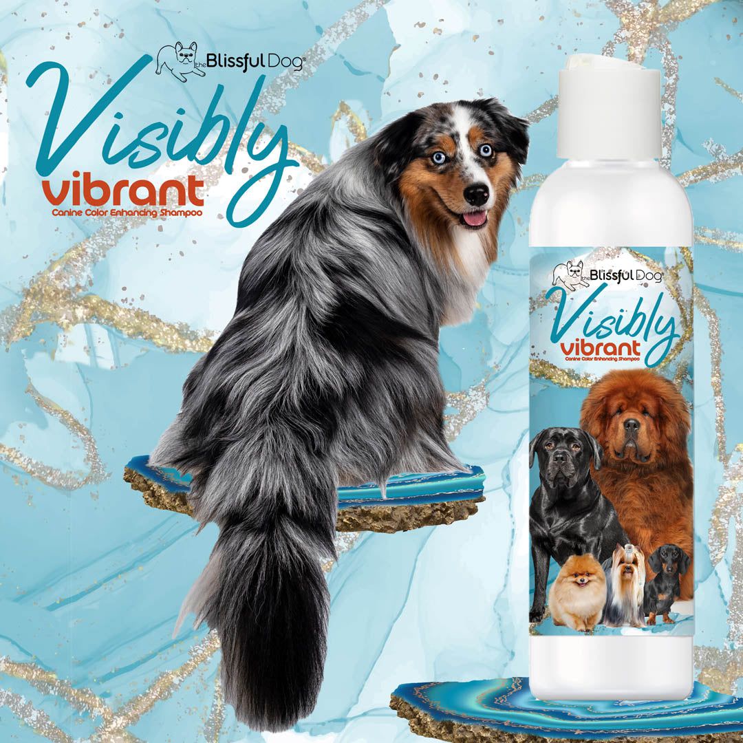 Visibly Vibrant Pet Shampoo - Tampa Home & Garden Store