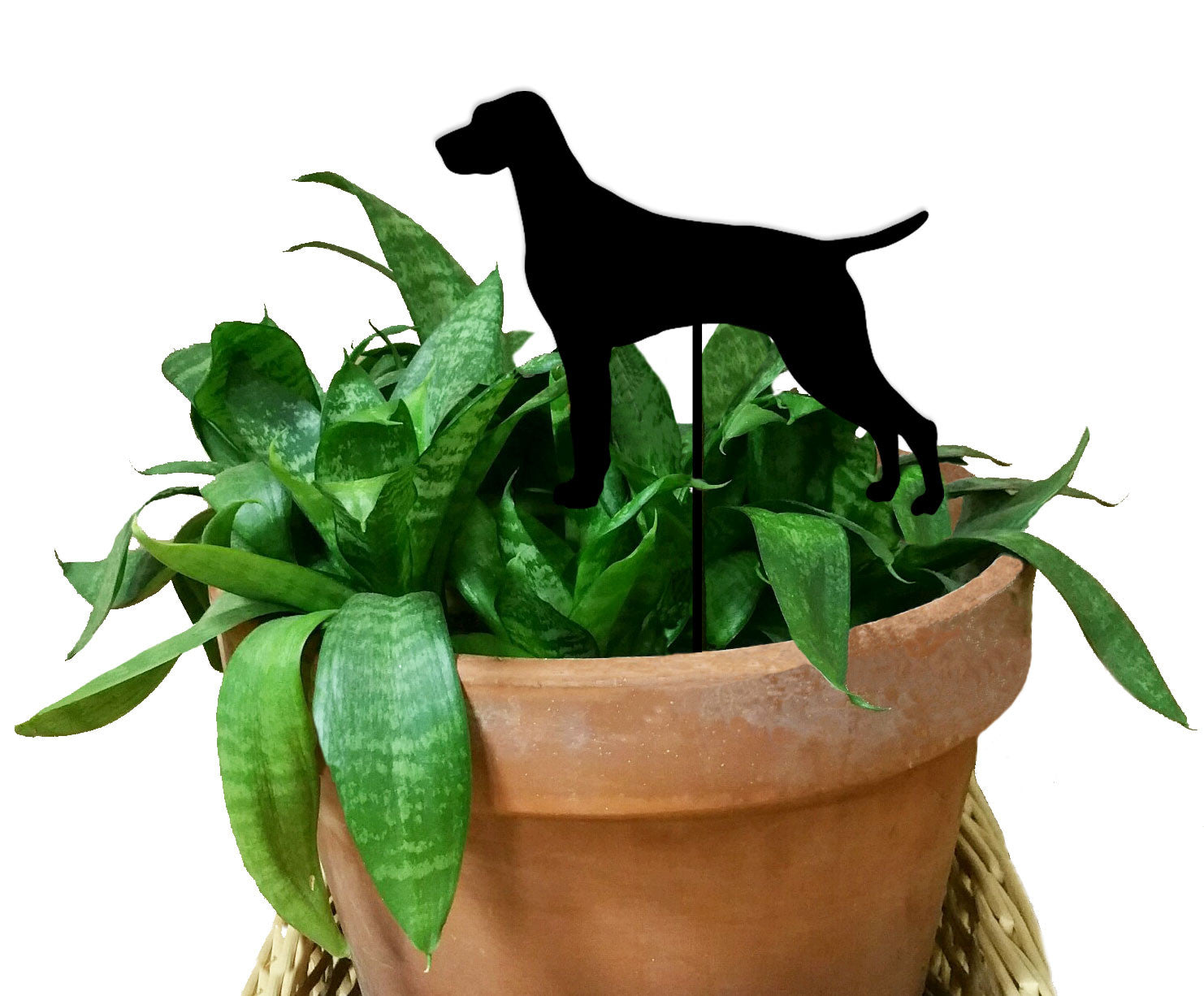 Vizsla Plant Stake Rustica Ornamentals black silhouette on stake in terracotta pot with green leaves on Tampa Home & Garden Store