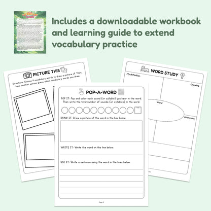 Vocabulary Vultures toy set with downloadable workbook and Word Study sheets by The Fidget Games on Tampa Home & Garden Store
