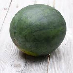 WATERMELON Seeds, Sugar Baby - Tampa Home & Garden Store
