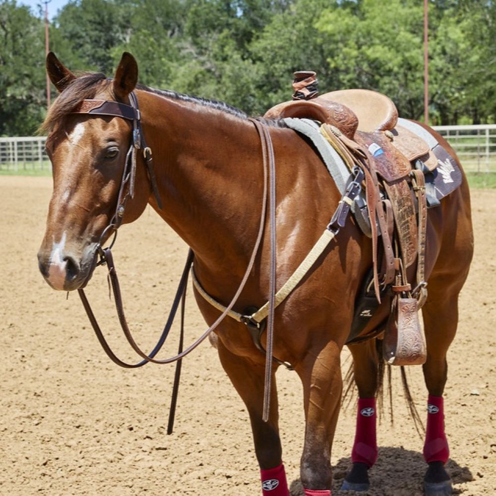 Breast collar WD-1NRBC braided natural rawhide 1in straight by Mayatex on Tampa Home & Garden Store