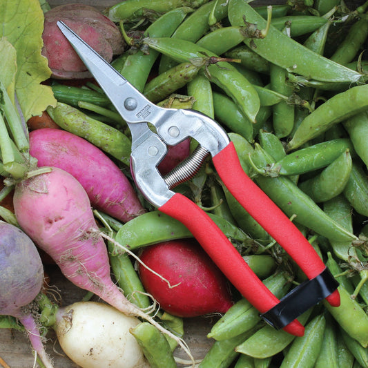 Compact pruning shears Woodland Garden by Womanswork with red handles among fresh green beans on Tampa Home & Garden Store