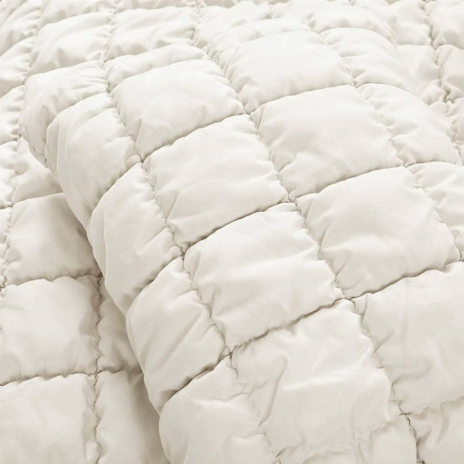 - image on Tampa Home & Garden Store