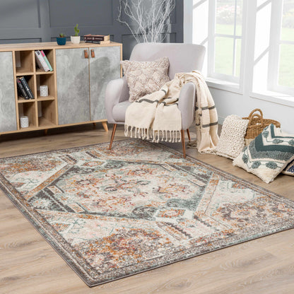 Woorabinda Area Rug by Boutique Rugs in distressed multicolor geometric pattern on Tampa Home & Garden Store