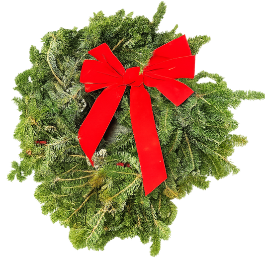 22" Fresh Fraser Fir Wreath | Fragrant Holiday Decoration | House Plant Shop