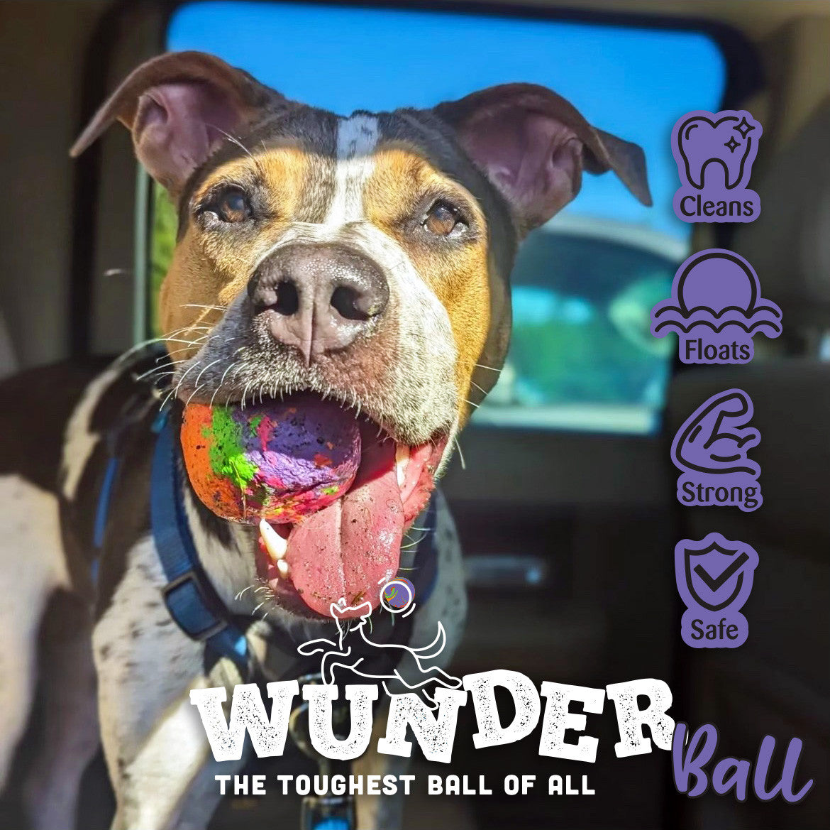 WUNDERball Fetch Toy Natural Rubber Ball For Dogs