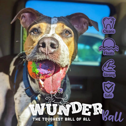 WUNDERball Fetch Toy Natural Rubber Ball For Dogs
