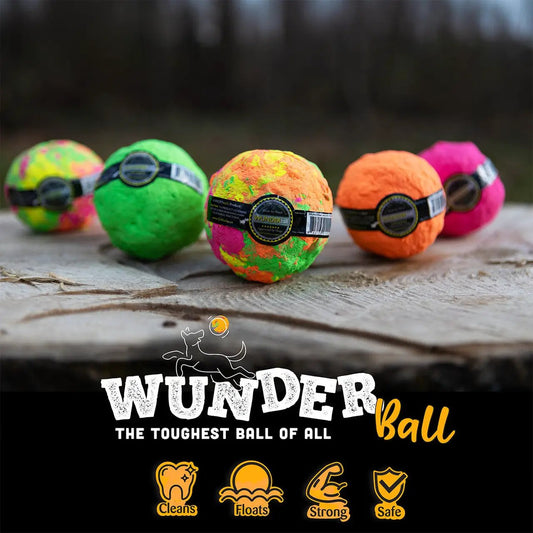 WUNDERball fetch dog toy: five neon natural rubber balls with WACKYstore label on Tampa Home & Garden Store