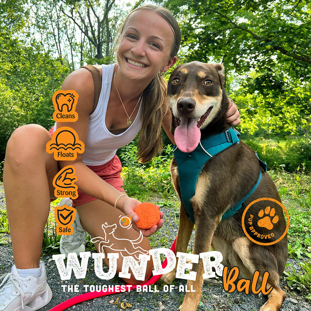 WUNDERball Fetch Toy Natural Rubber Ball For Dogs