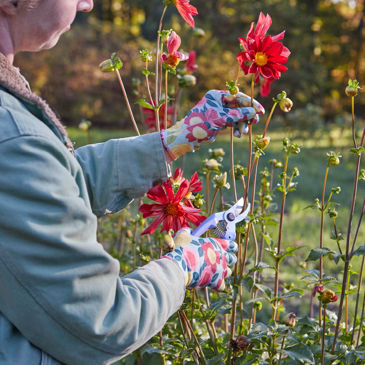 Nitrile Weeder Gloves by Womanswork in floral pattern worn while weeding red flowers on Tampa Home & Garden Store