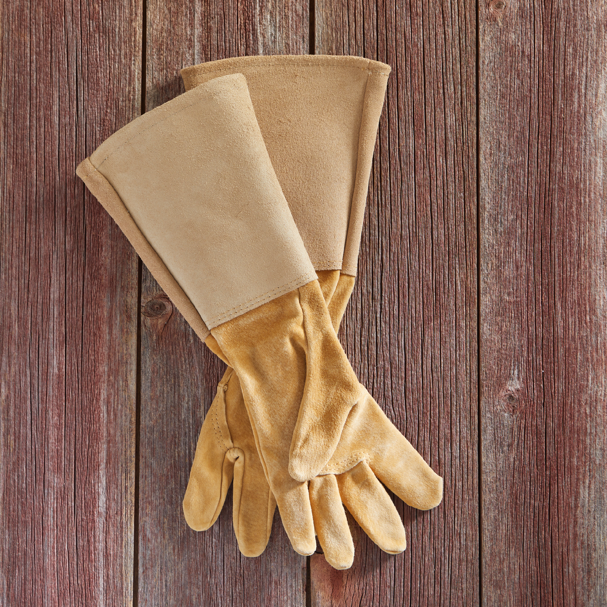 All Leather Gauntlet Gloves Arm Saver tan suede pair for gardening on Tampa Home & Garden Store