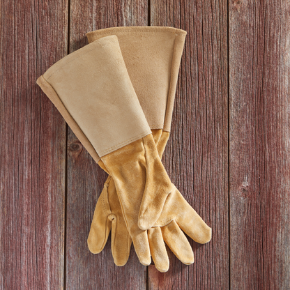 All Leather Gauntlet Gloves Arm Saver tan suede pair for gardening on Tampa Home & Garden Store