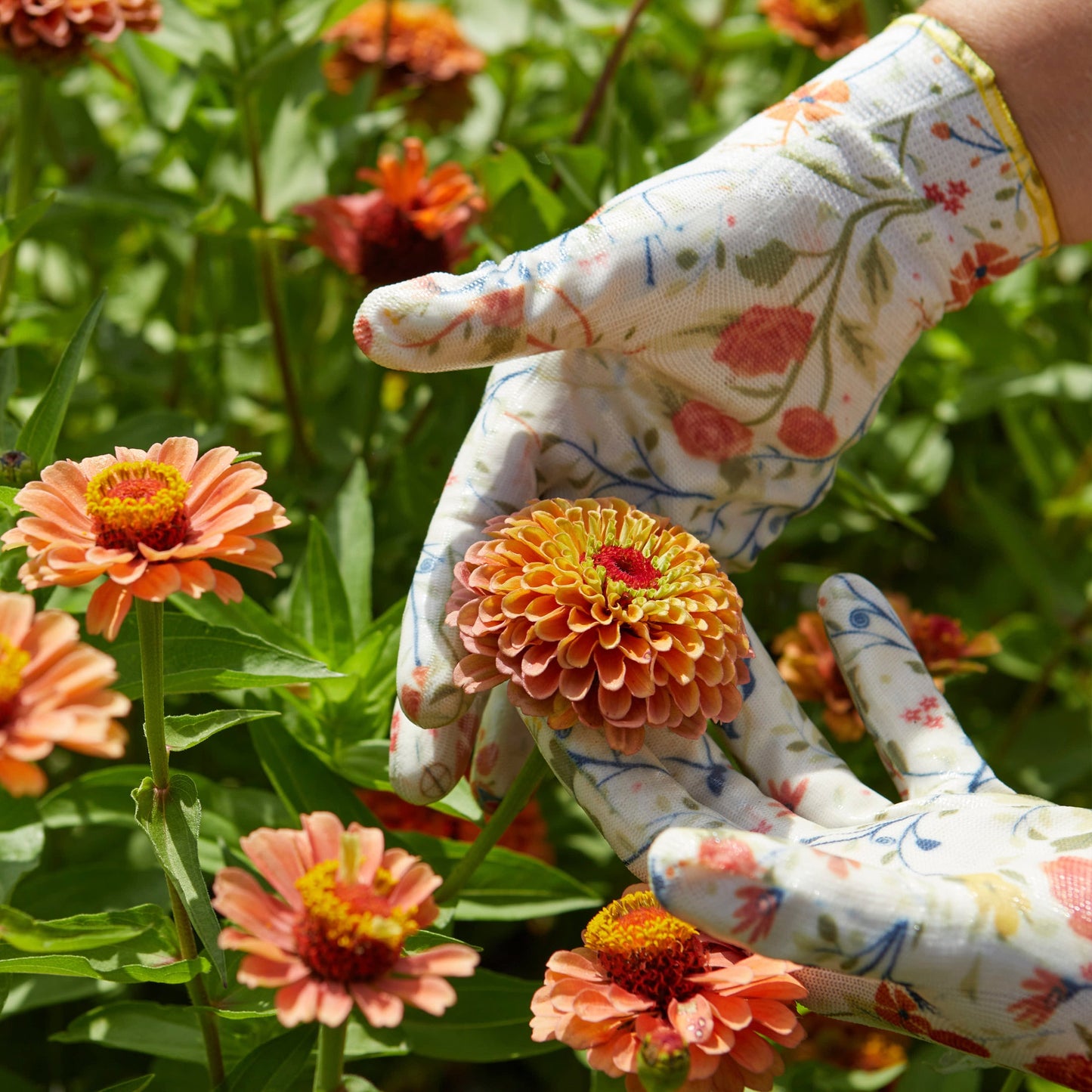 Nitrile Weeder Gloves Womanswork floral gardening gloves worn while weeding orange zinnias on Tampa Home & Garden Store