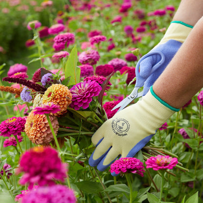 The Weeder Glove by Womanswork; beige glove with blue fingertips and teal trim amid zinnias on Tampa Home & Garden Store