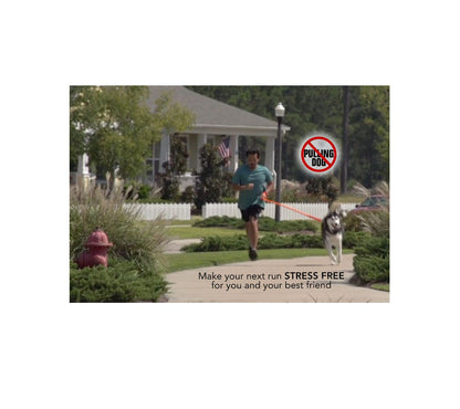 WUNDERleash Original no Pull Dog Leash Calm Walks