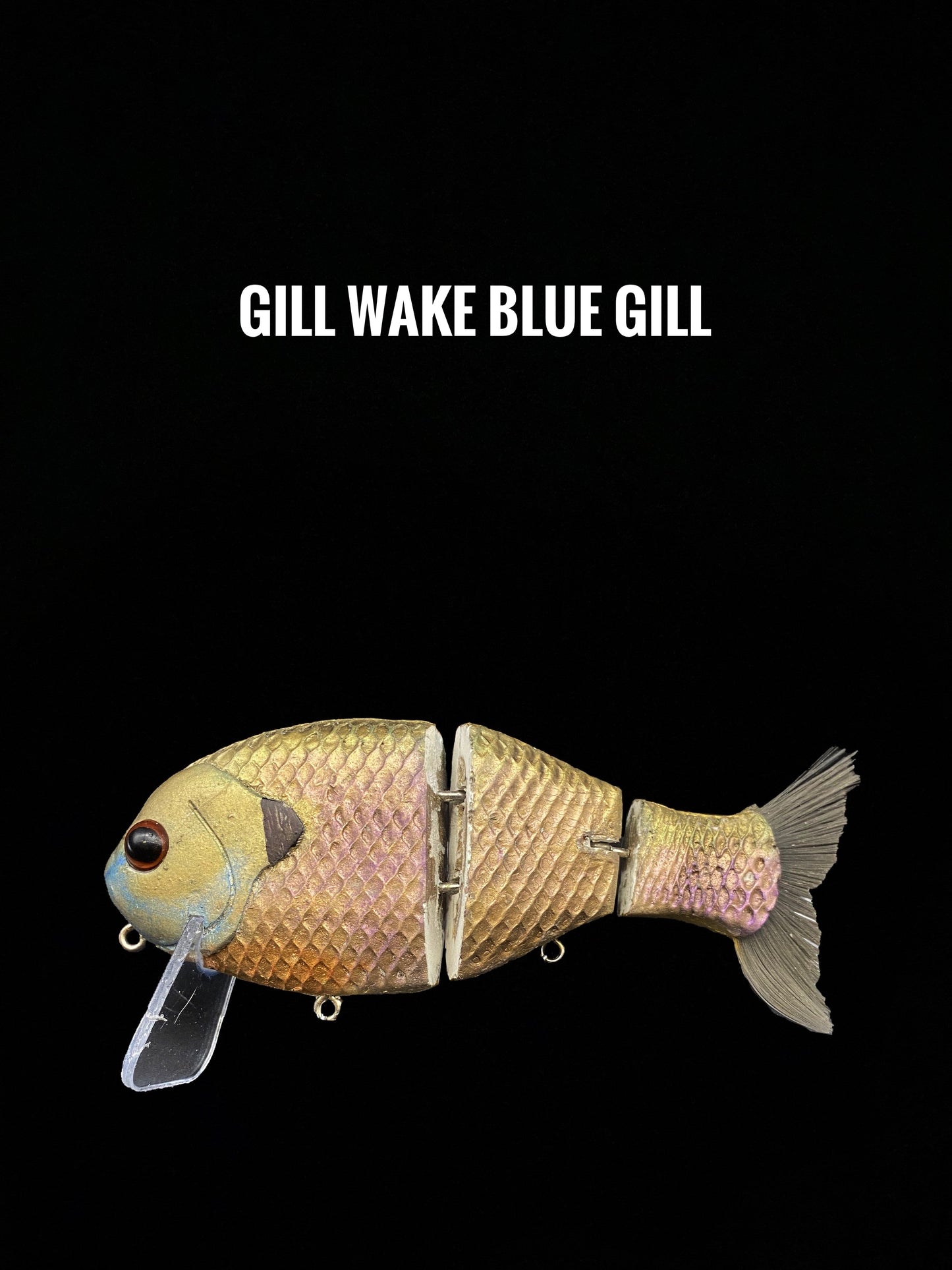 Wake Gill - Tampa Home & Garden Store