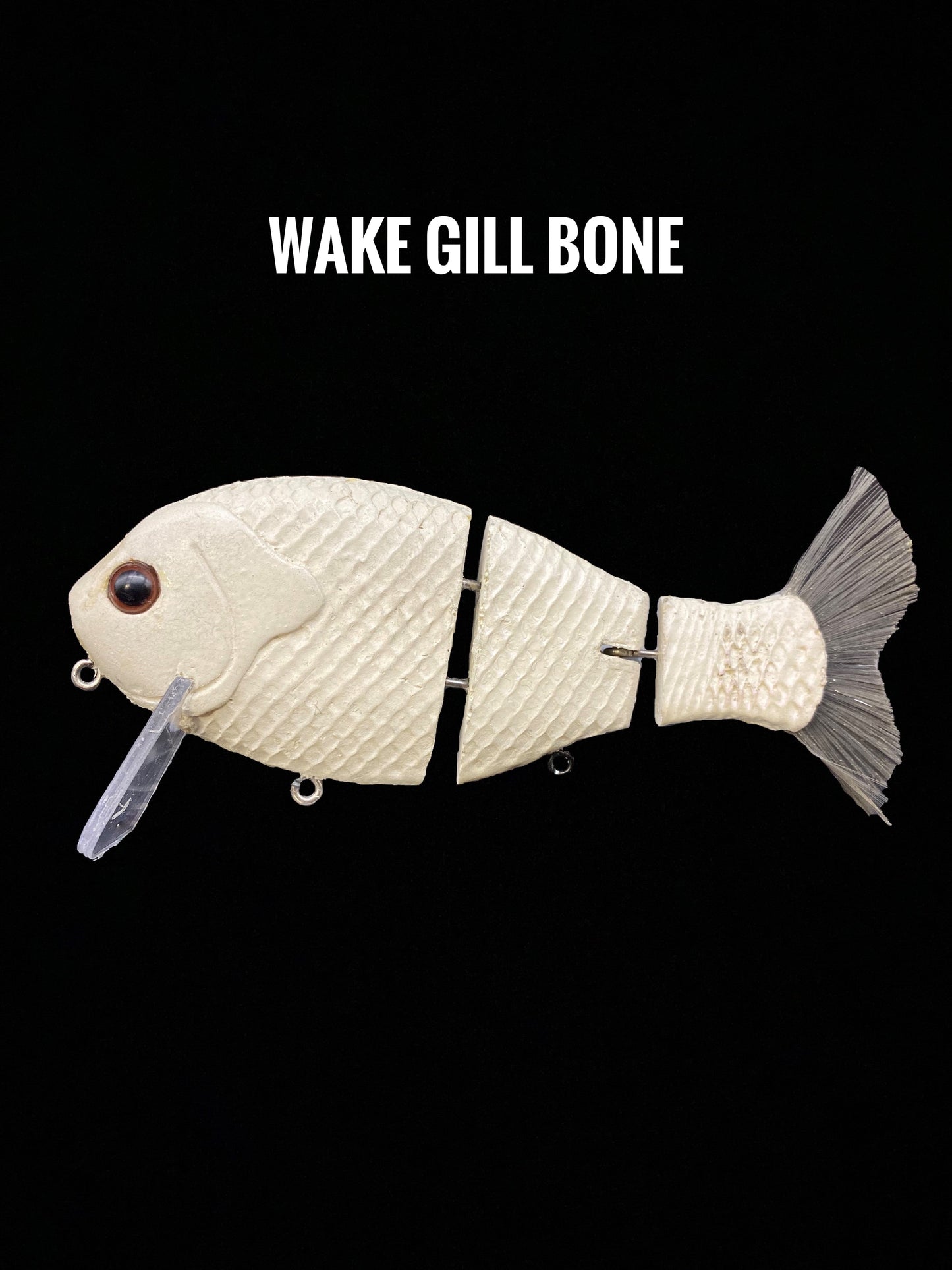 Wake Gill - Tampa Home & Garden Store