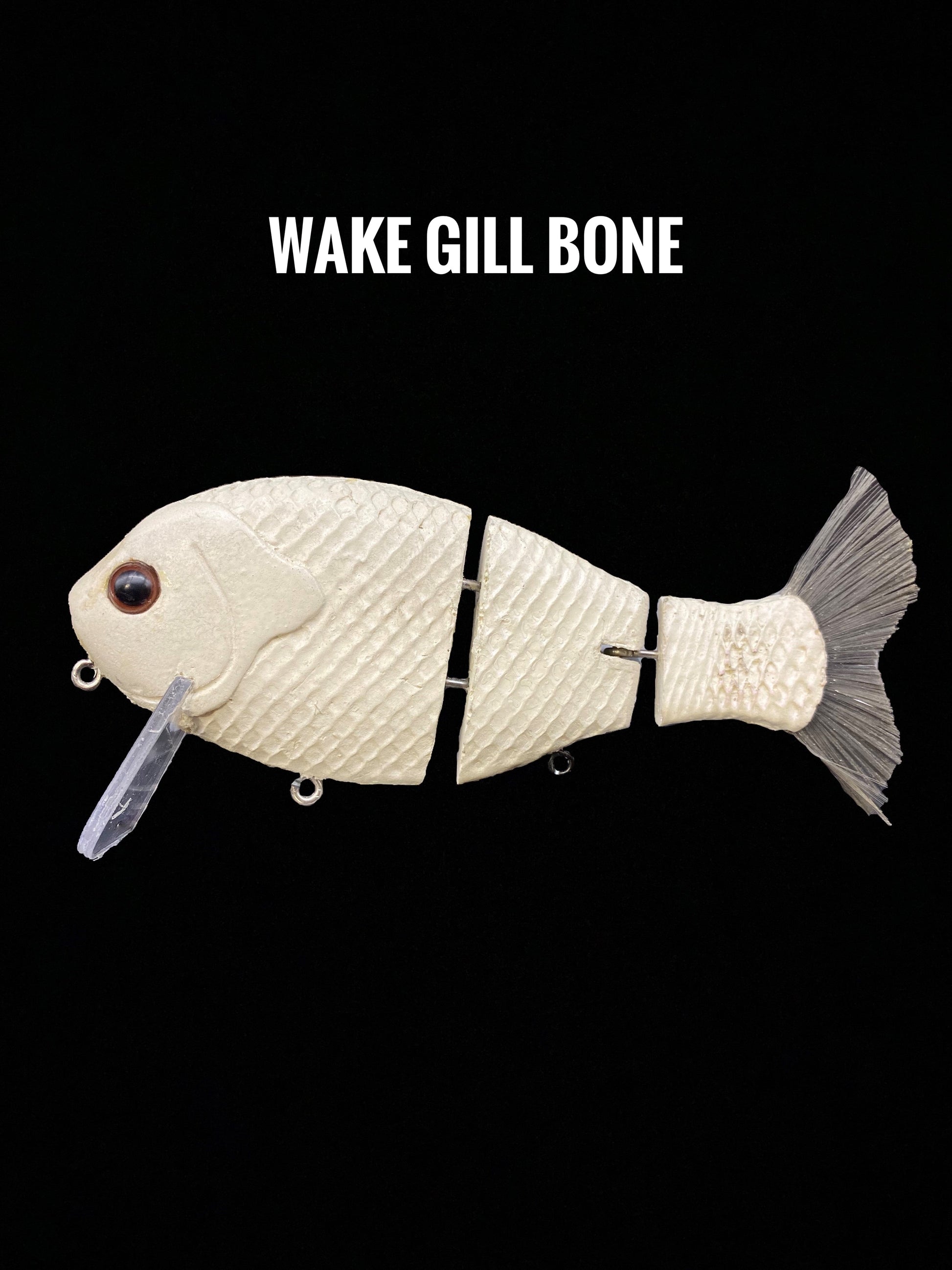 Wake Gill - Tampa Home & Garden Store