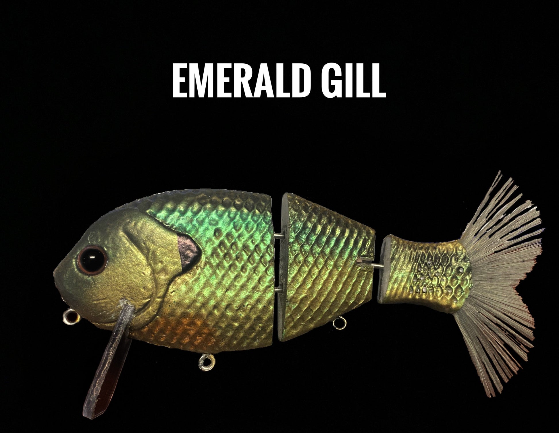 Wake Gill - Tampa Home & Garden Store