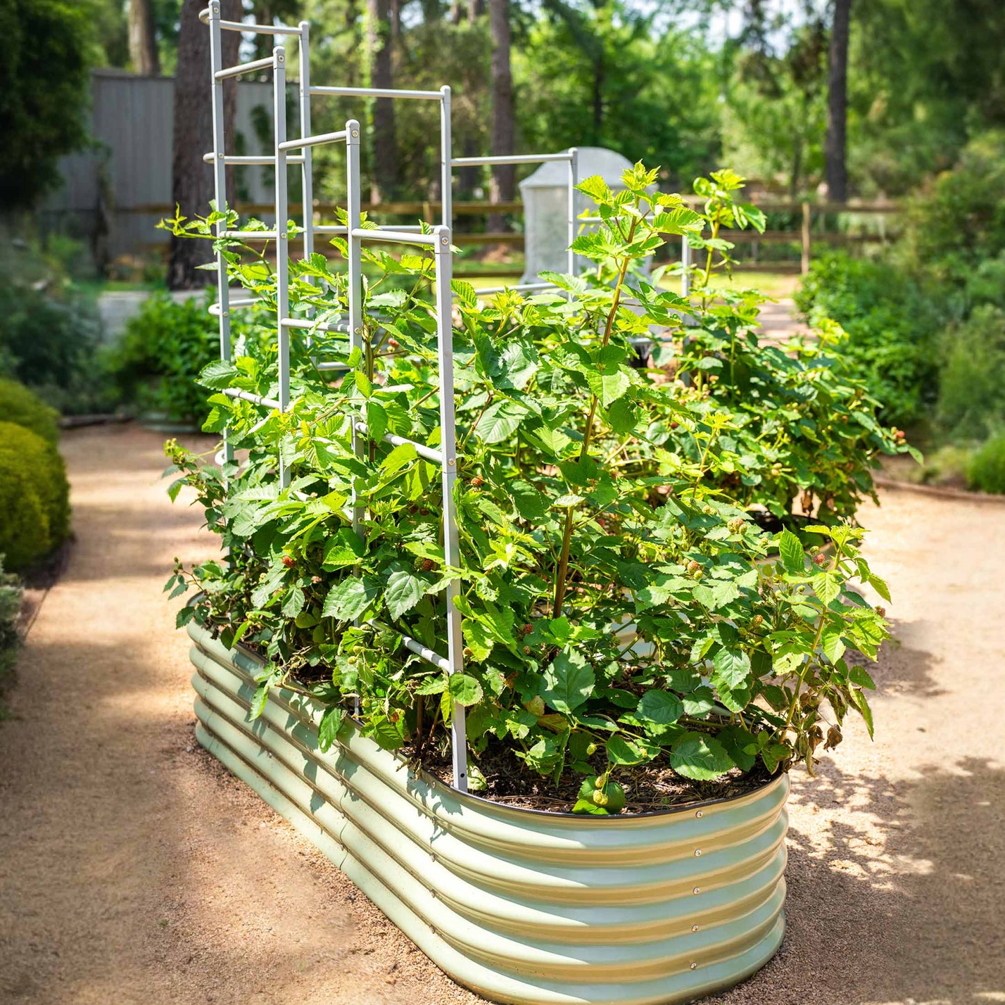 Wall Trellis System - Tampa Home & Garden Store