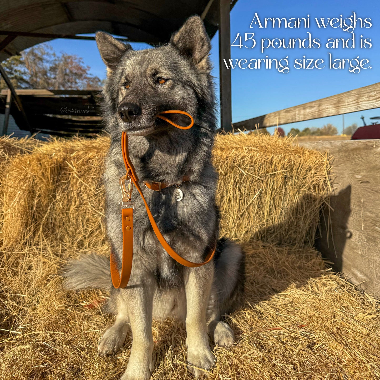 Waterproof Collar - Tampa Home & Garden Store