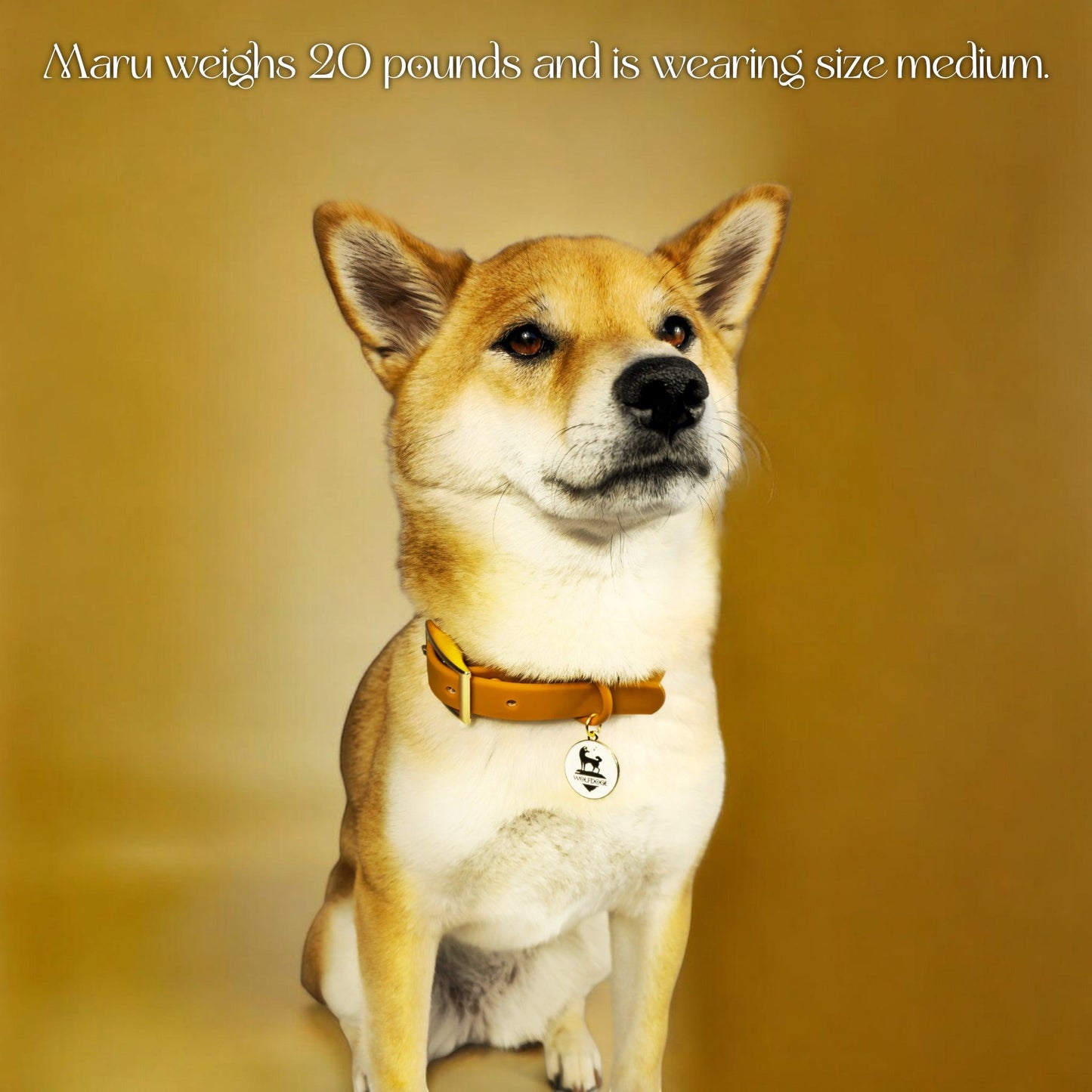 Waterproof Collar - Tampa Home & Garden Store