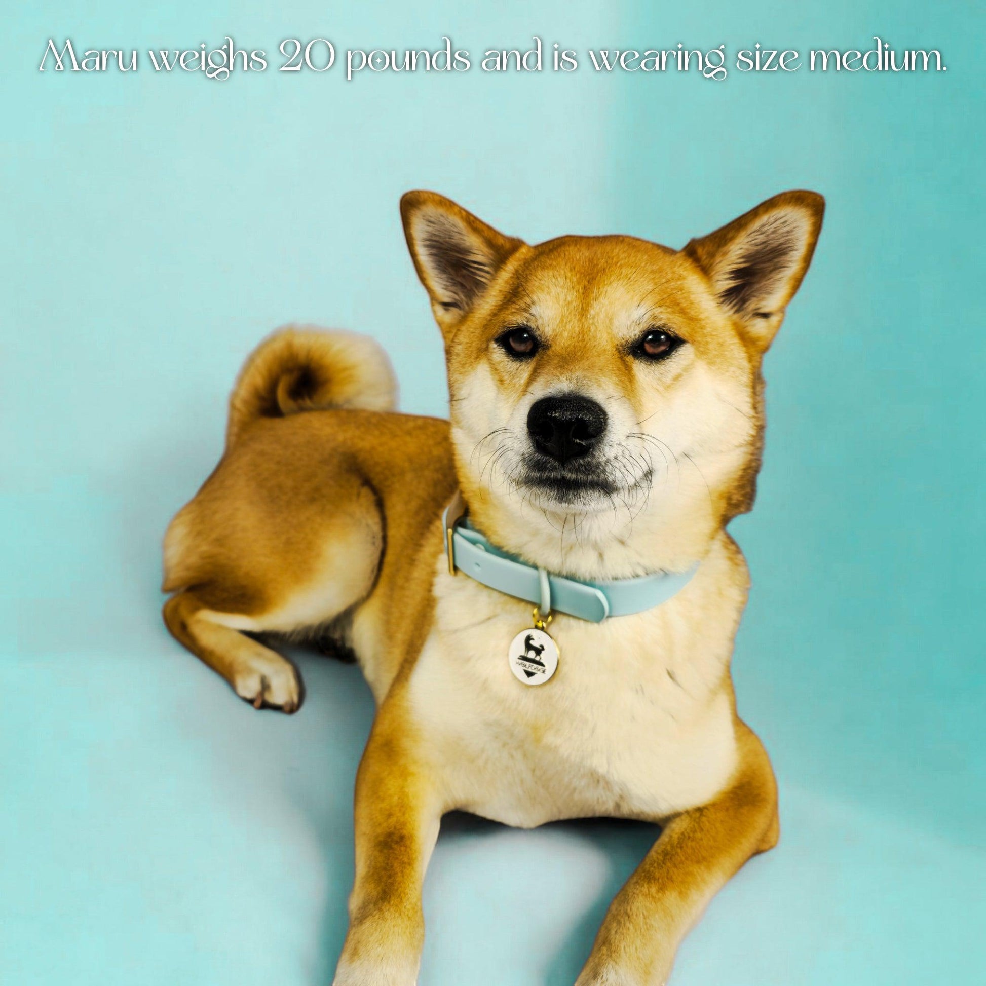 Waterproof Collar - Tampa Home & Garden Store