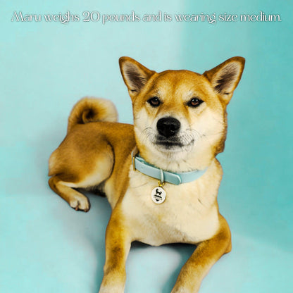 Waterproof Collar - Tampa Home & Garden Store
