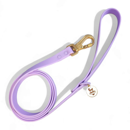 Waterproof Leash - Tampa Home & Garden Store