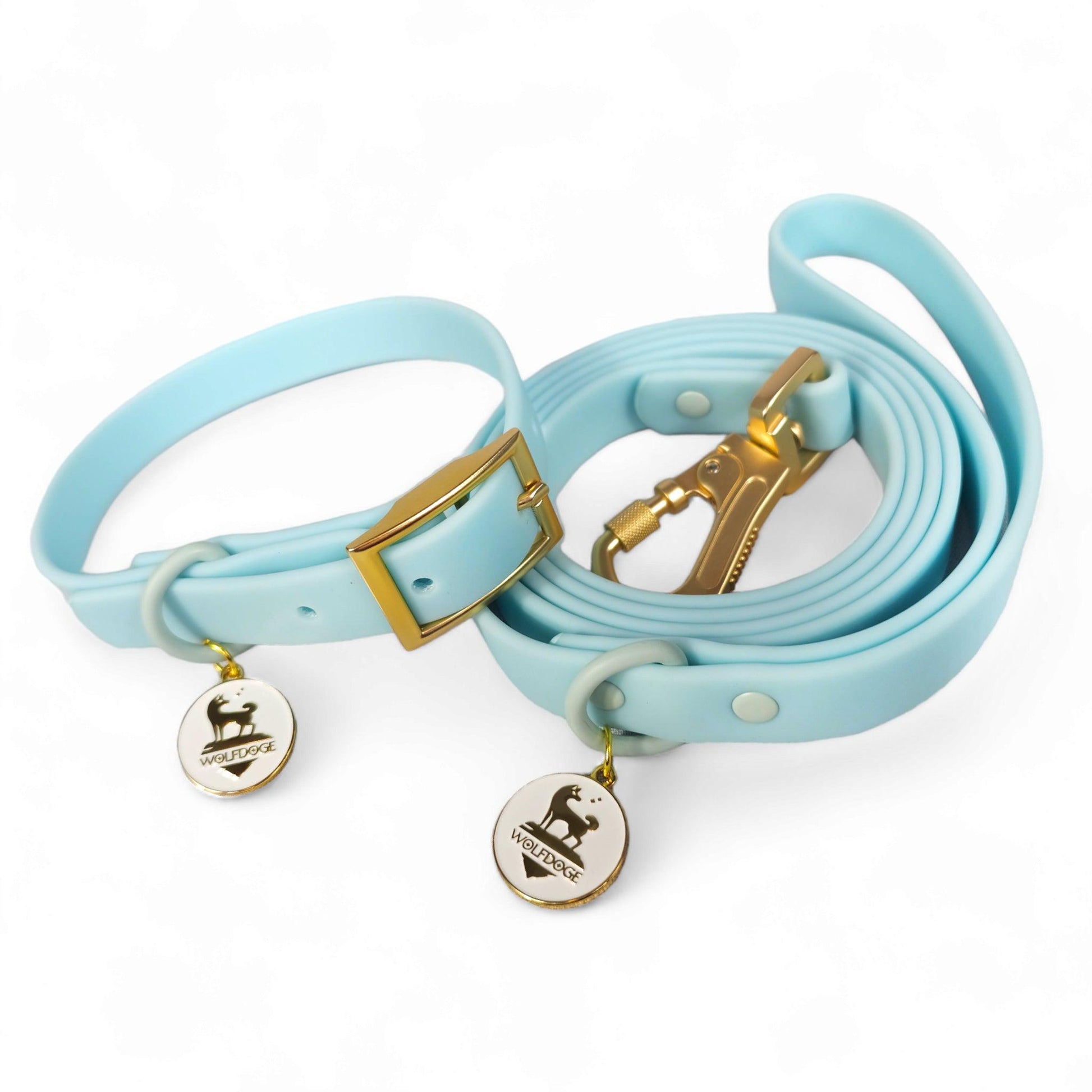 Waterproof Leash - Tampa Home & Garden Store