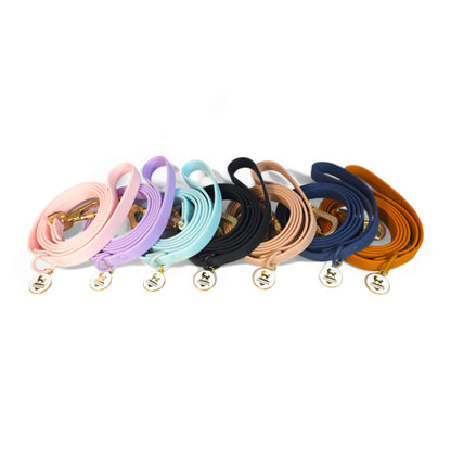 Waterproof Leash - Tampa Home & Garden Store