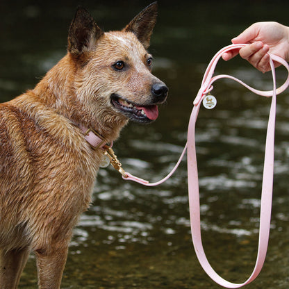 Waterproof Leash - Tampa Home & Garden Store