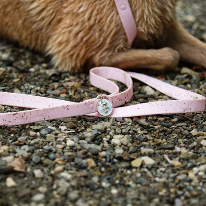 Waterproof Leash - Tampa Home & Garden Store