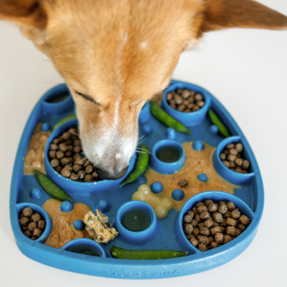 Bubbles Feast Mat With Slow Feeder and Lick Mat