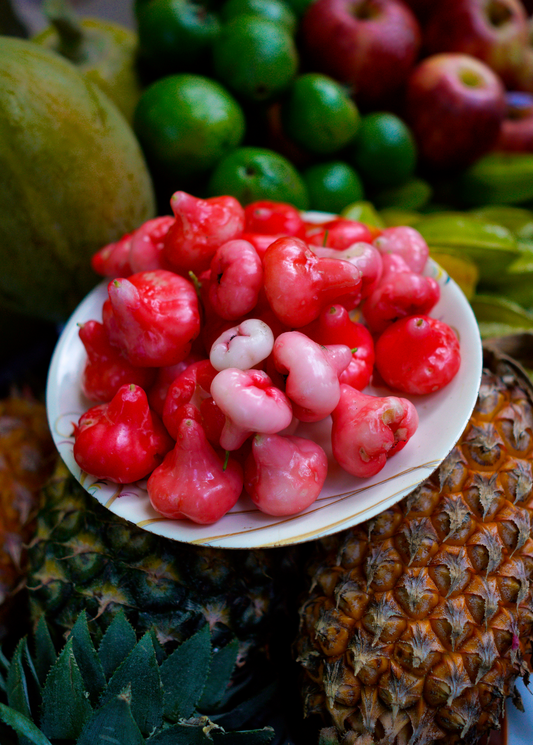 Wax Jambu, Red (Syzygium samarangense) - Tampa Home & Garden Store