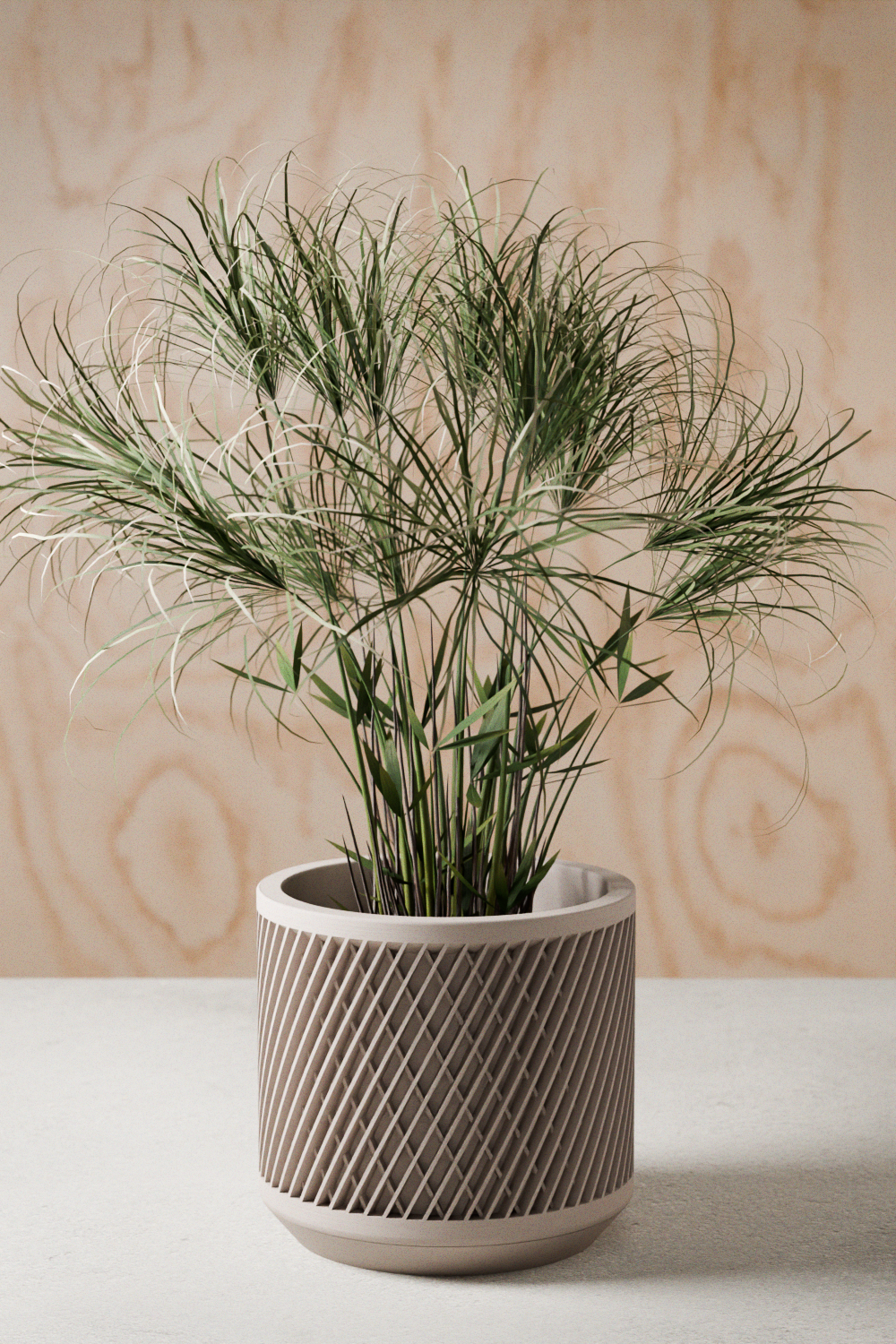 Weave Planter - Tampa Home & Garden Store