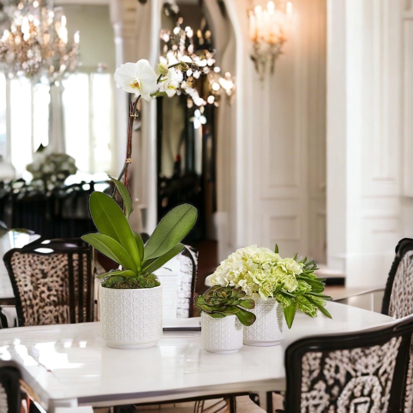 Webbing Pattern Flower Pots - Tampa Home & Garden Store