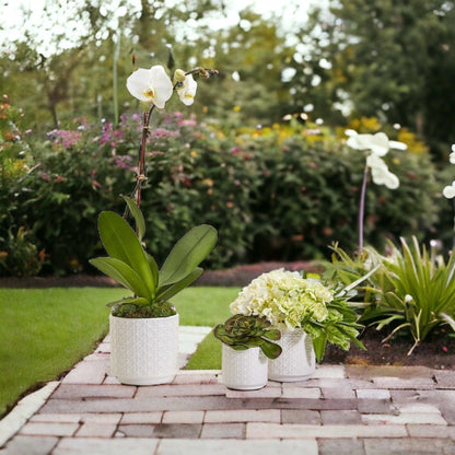 Webbing Pattern Flower Pots - Tampa Home & Garden Store