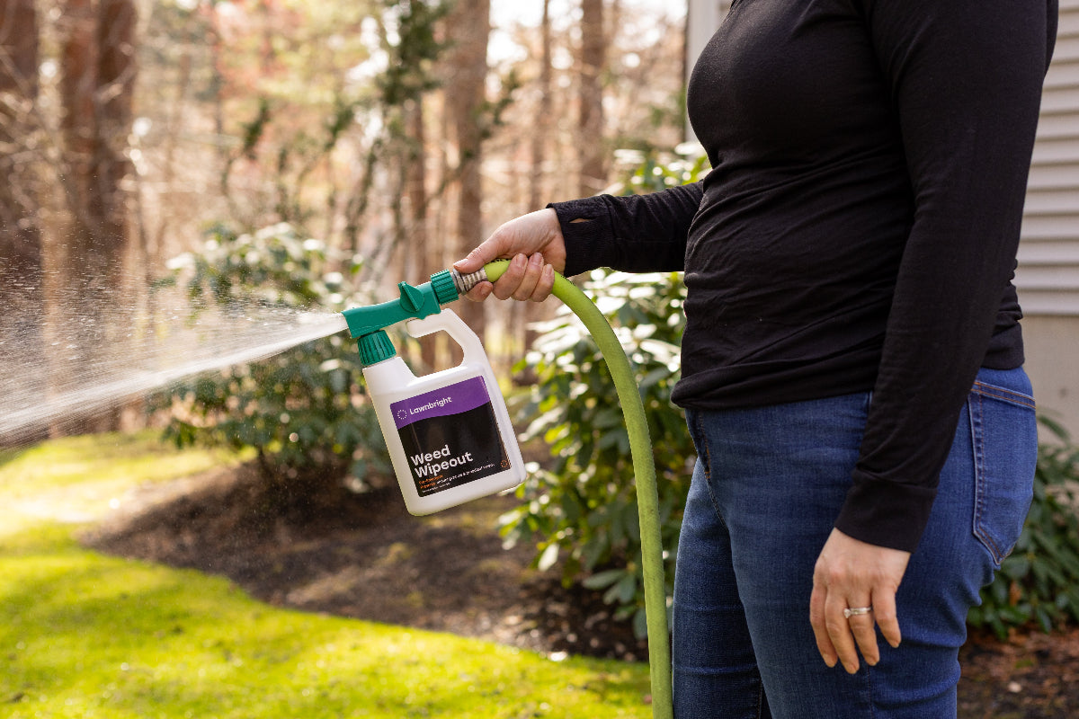 Pre-Emergent Weed Control