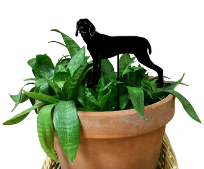 Weimaraner plant stake silhouette black metal atop a pot with green leaves Rustica Ornamentals on Tampa Home & Garden Store