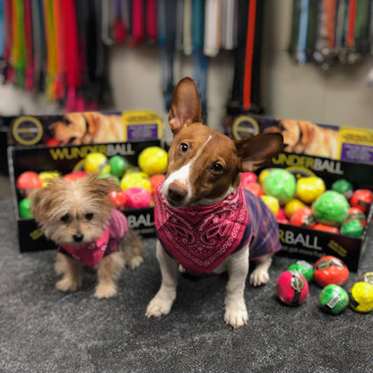 WUNDERball Fetch Toy Natural Rubber Ball For Dogs