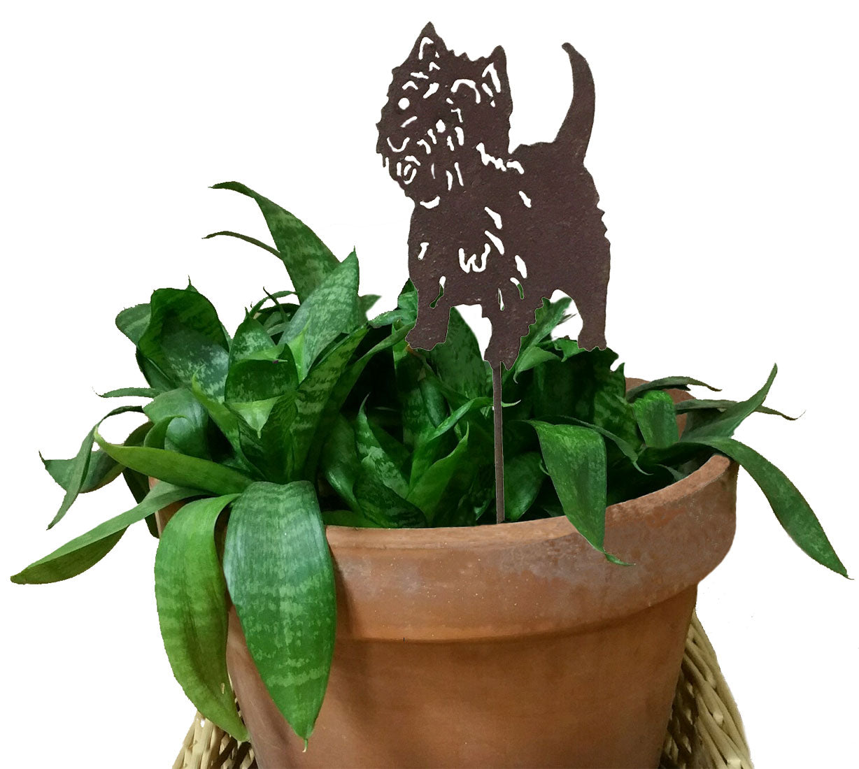 West Highland Terrier plant stake by Rustica Ornamentals, metal silhouette in terracotta pot on Tampa Home & Garden Store