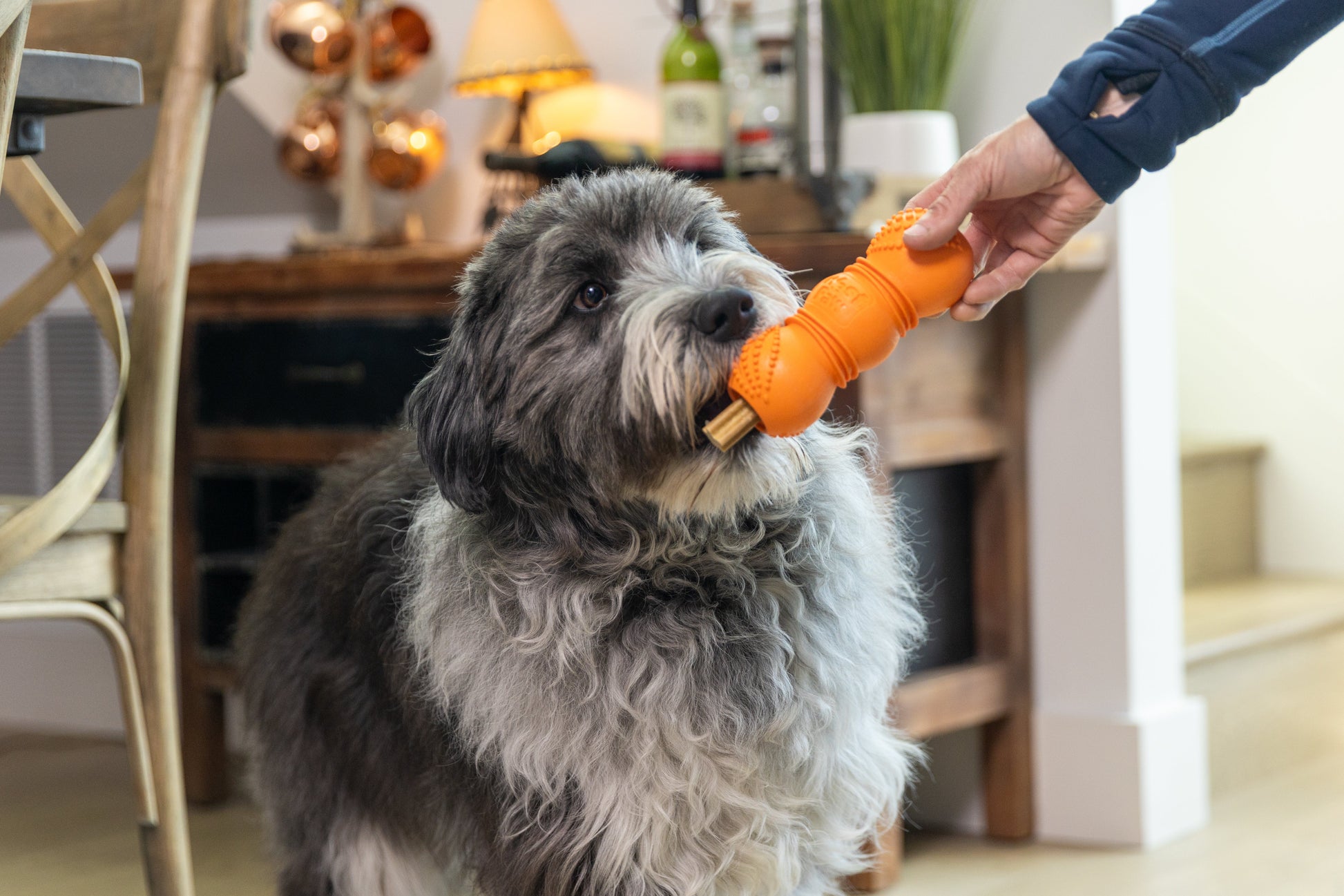 Flossr dog toy orange chew by West Paw held by a person in a home setting on Tampa Home & Garden Store