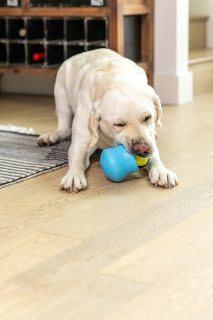 Toppl Treat dog treat toy West Paw blue being chewed on Tampa Home & Garden Store