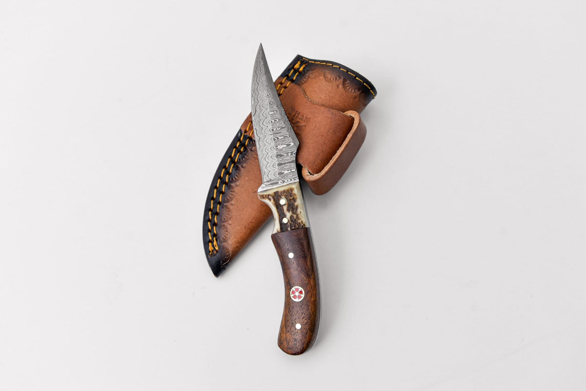 Damascus steel skinner knife with stag and walnut grip in leather sheath, Titan Td-340 on Tampa Home & Garden Store